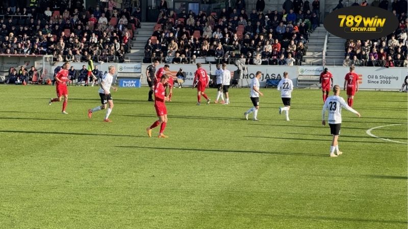 Thông tin lực lượng Fredericia vs Vejle mới nhất