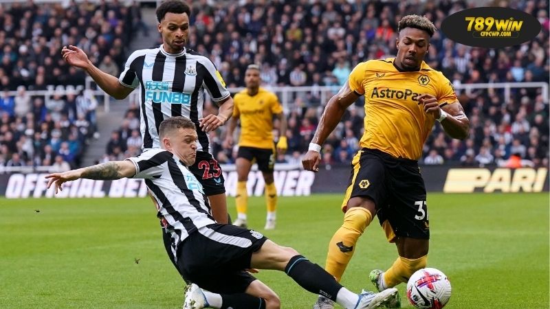 Thông tin lực lượng Newcastle vs Wolves mới nhất